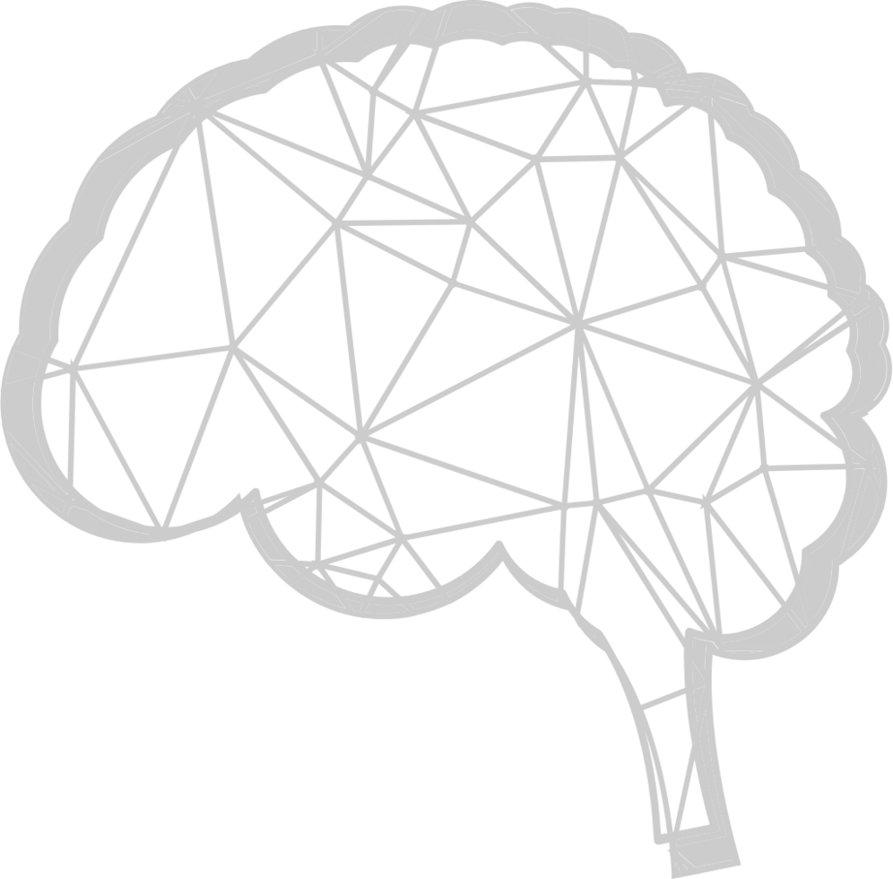 Brain vector