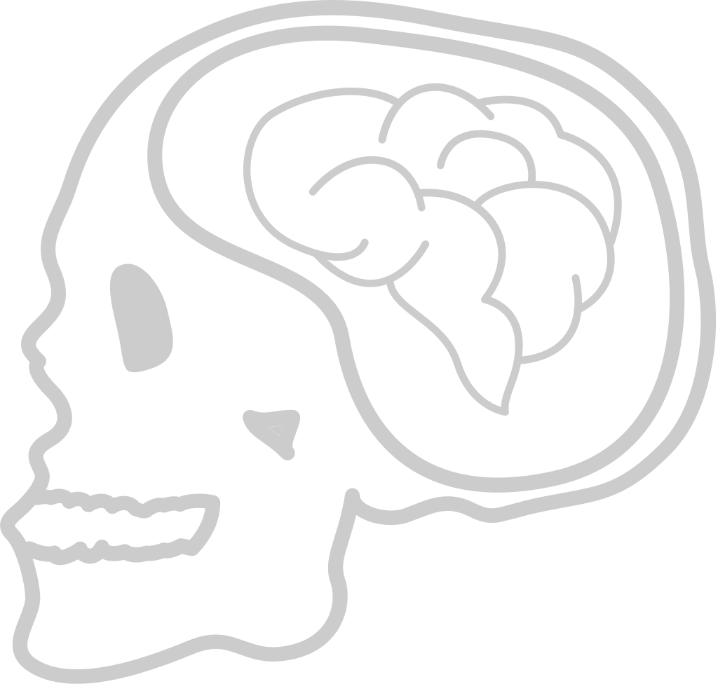 Brain inside skull outline vector