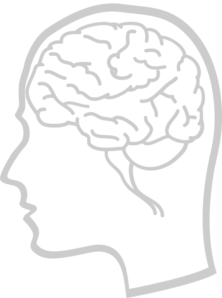 Brain vector