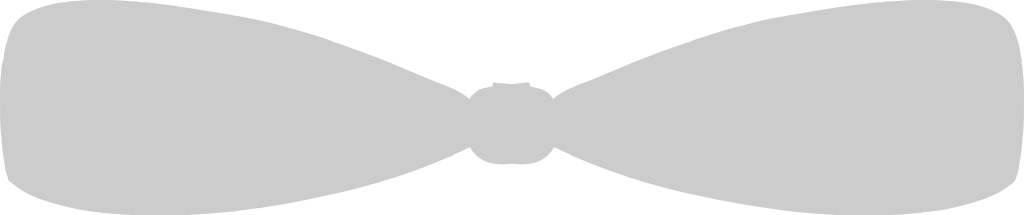 Bow Tie vector