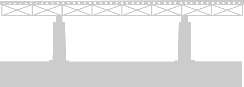 Bridge vector