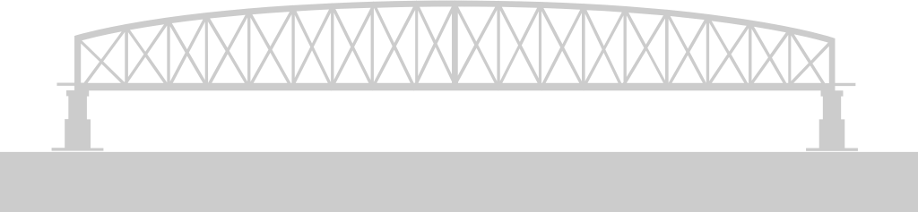 Bridge vector