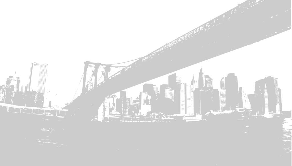Bridge vector