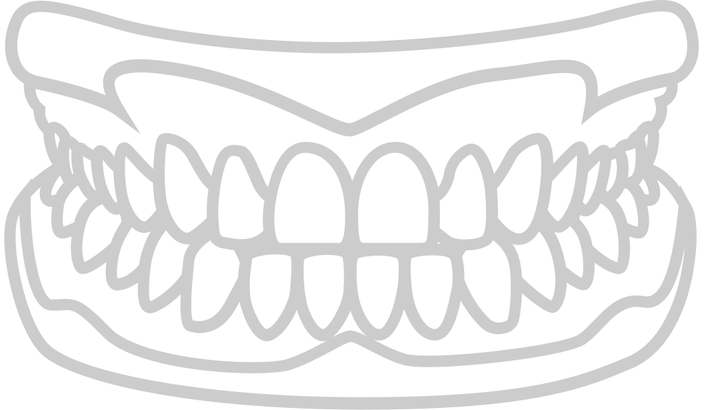 Teeth vector