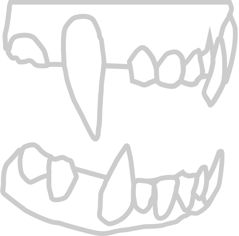 Vampire Teeth vector