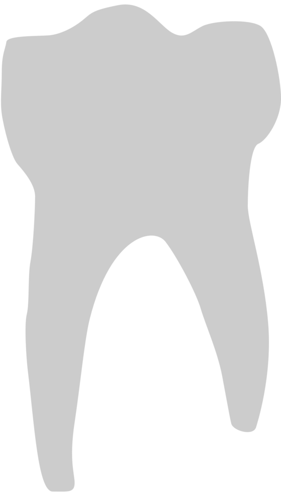 Tooth vector