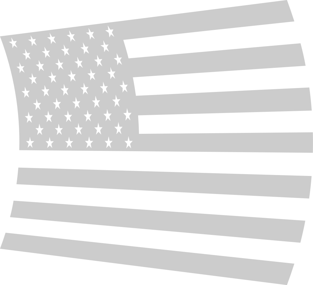 American Flag vector