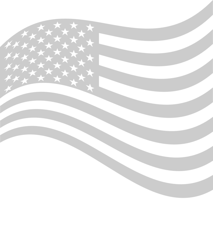 American Flag vector