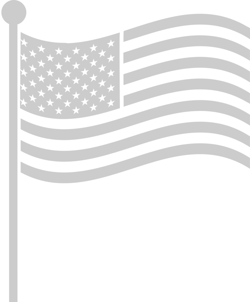 American Flag vector