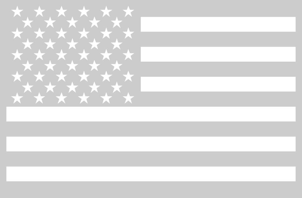 American Flag vector
