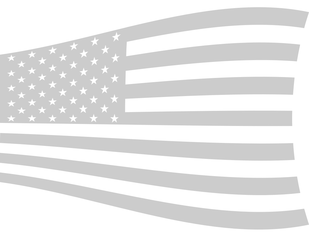 American Flag vector