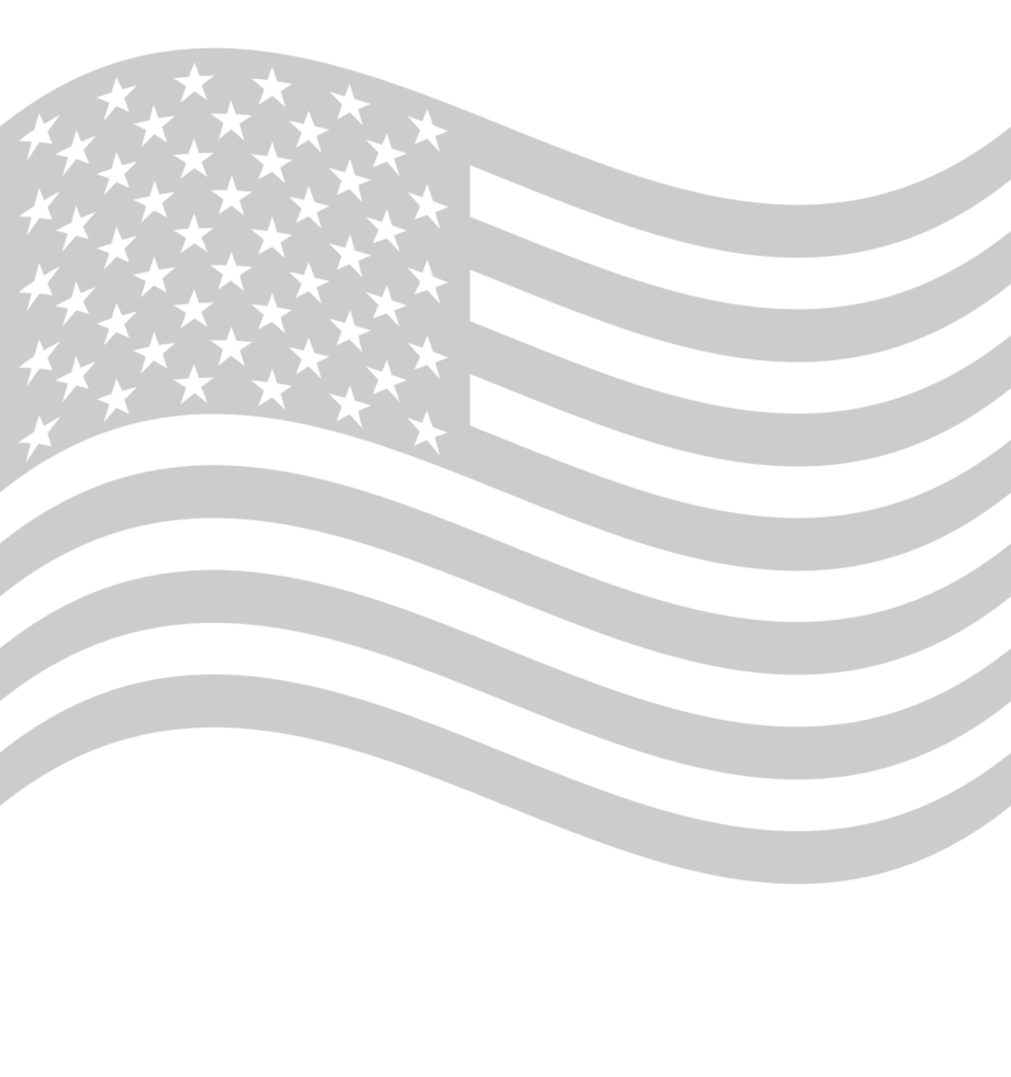 American Flag vector