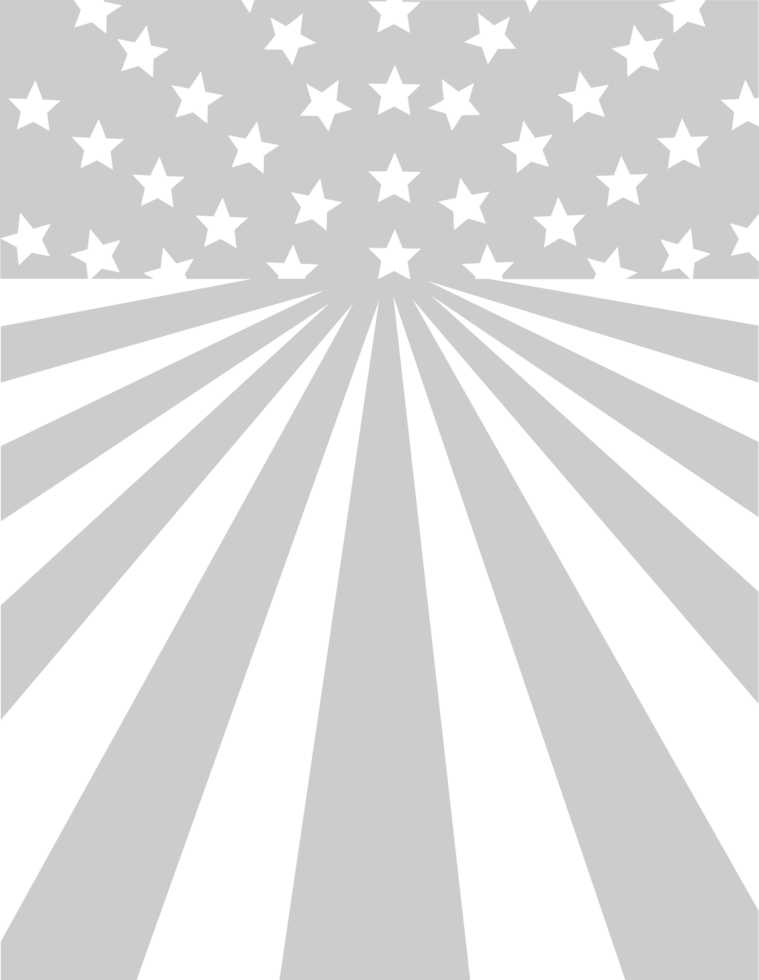 American Flag vector