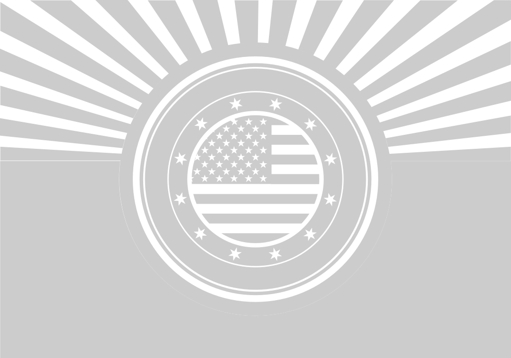 American Flag vector