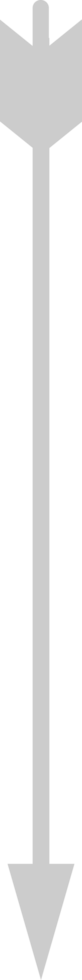 Arrow vector