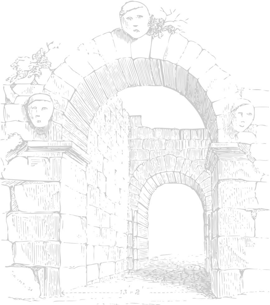 Arch vector