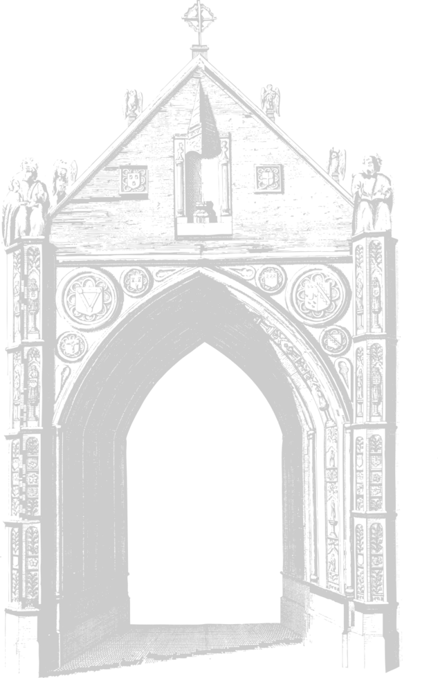 Arch vector