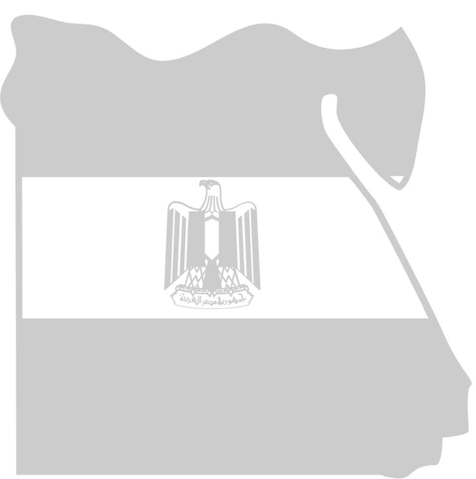 Egypt icon map and flag vector