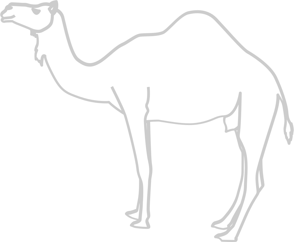Egypt icon camel vector