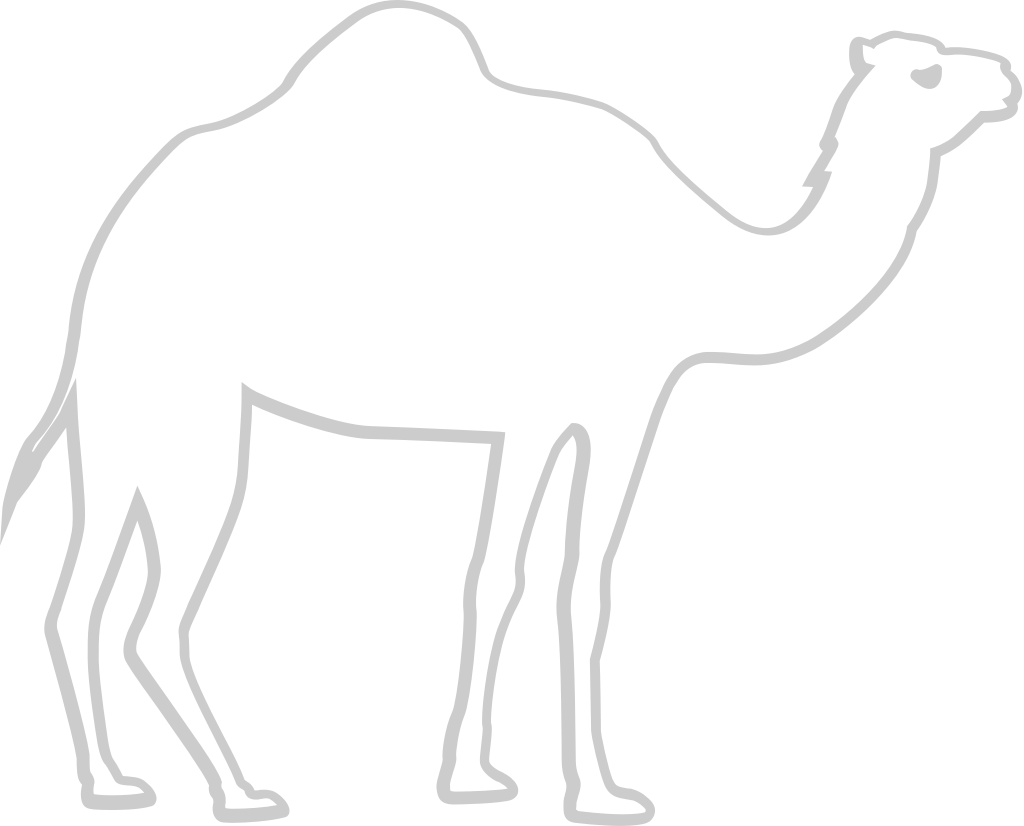 Egyptian camel vector