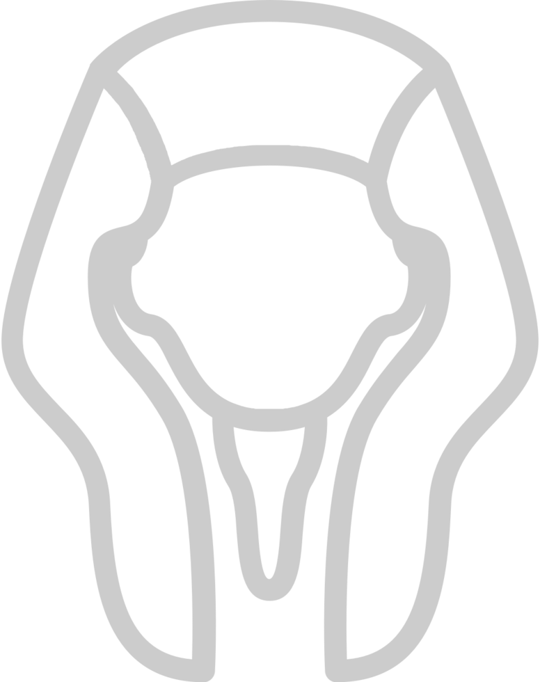 Egypt pharaoh vector