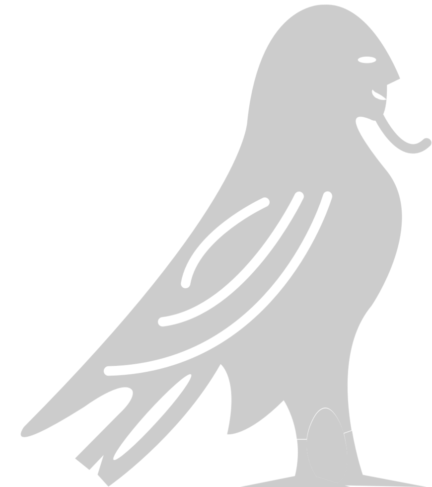 Egyptian hieroglyphic  vector