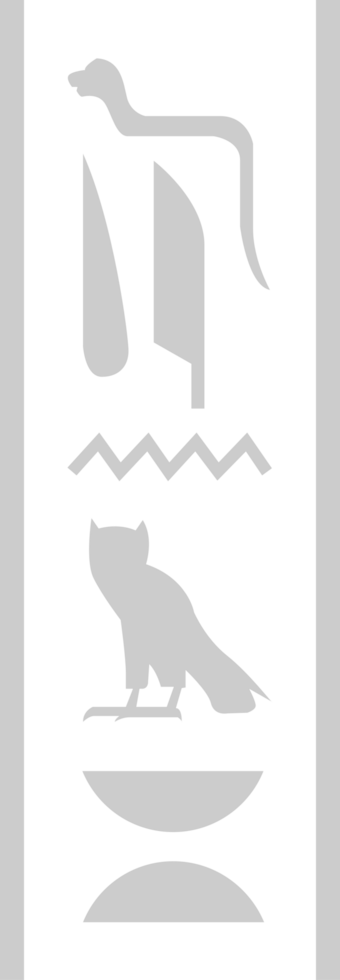 Egyptian hieroglyphic  vector