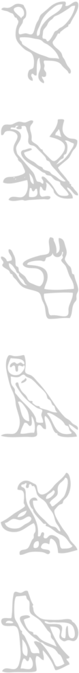 Egyptian hieroglyphic  vector