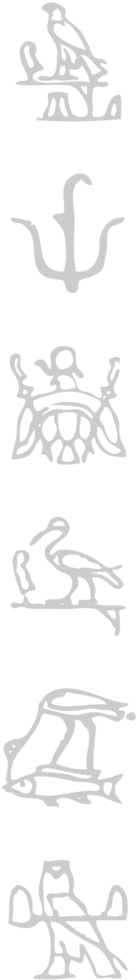 Egyptian hieroglyphic  vector