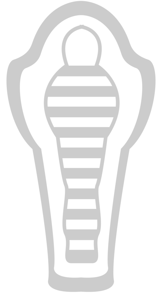Egyptian mummy  vector