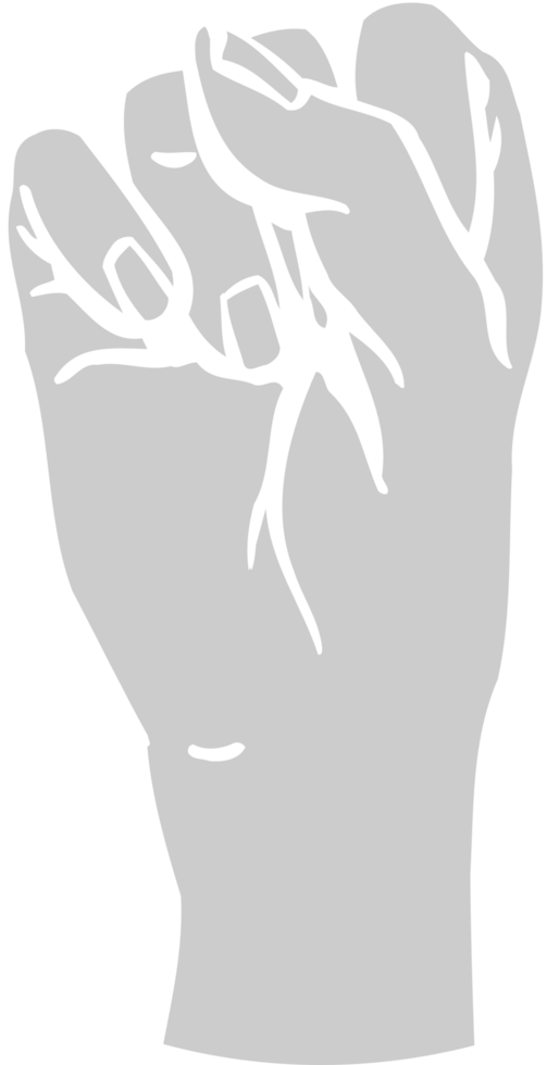 Fist  vector
