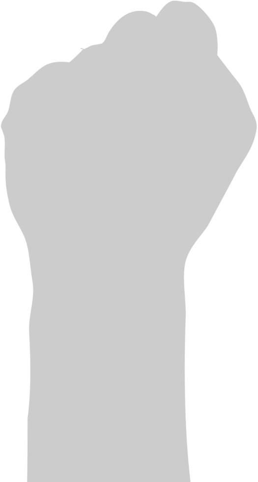 Fist  vector
