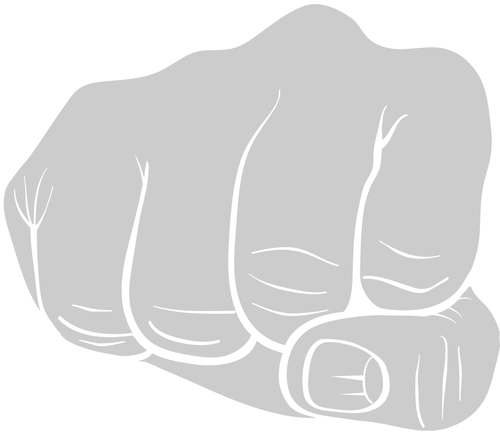 Fist  vector