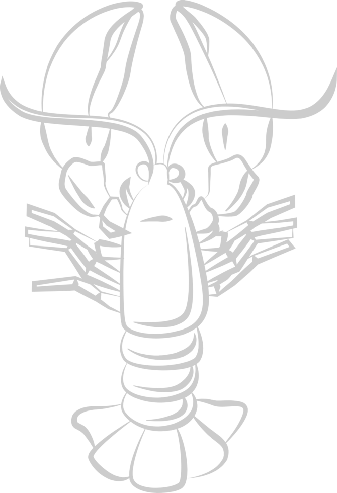 Lobster outline vector