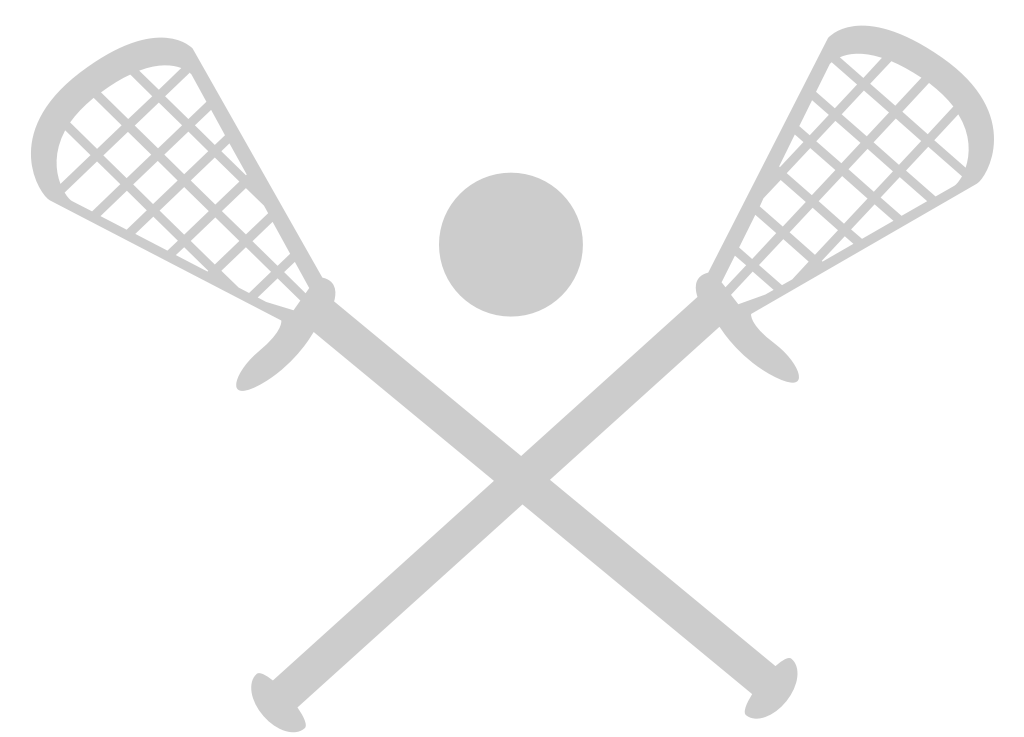 Lacrosse stick vector