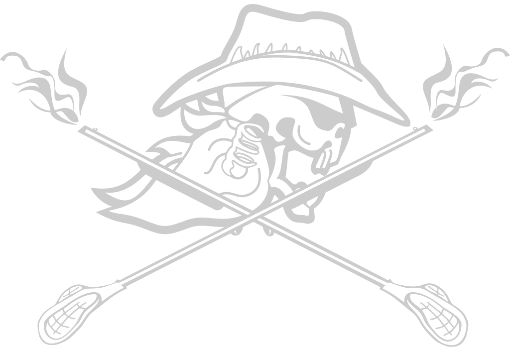 Lacrosse badge vector