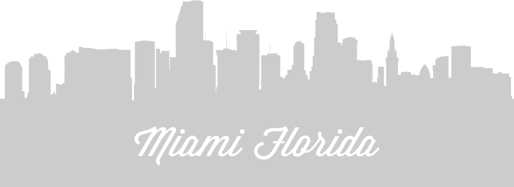 Florida city landscape vector