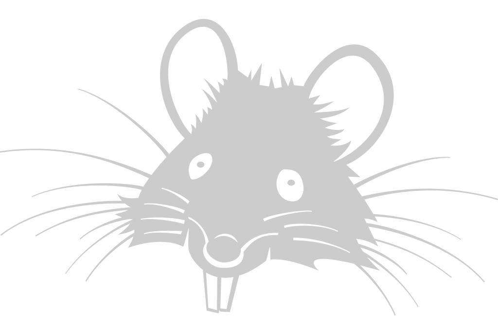 Mouse animal head vector