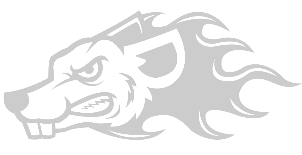 Mouse animal head mascot vector