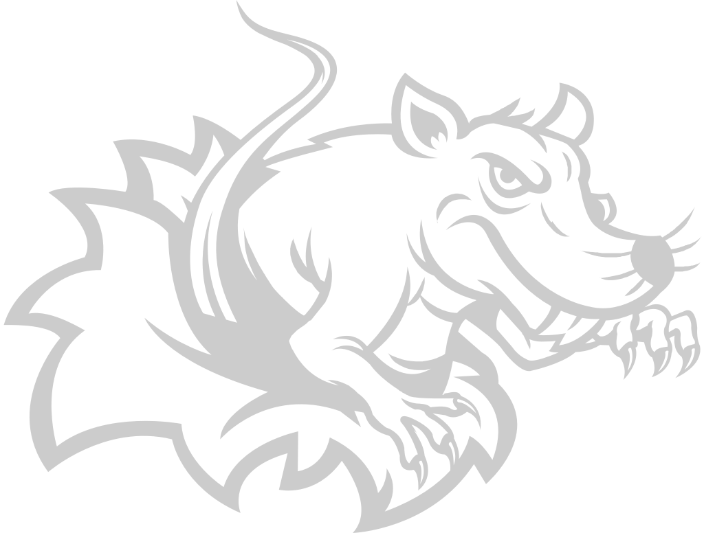 Mouse animal head  vector