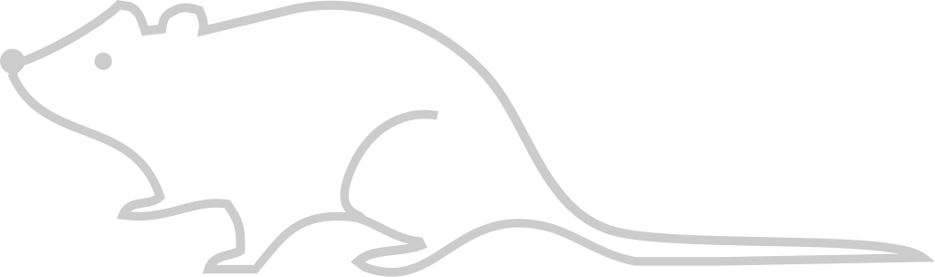 Mouse animal outline vector