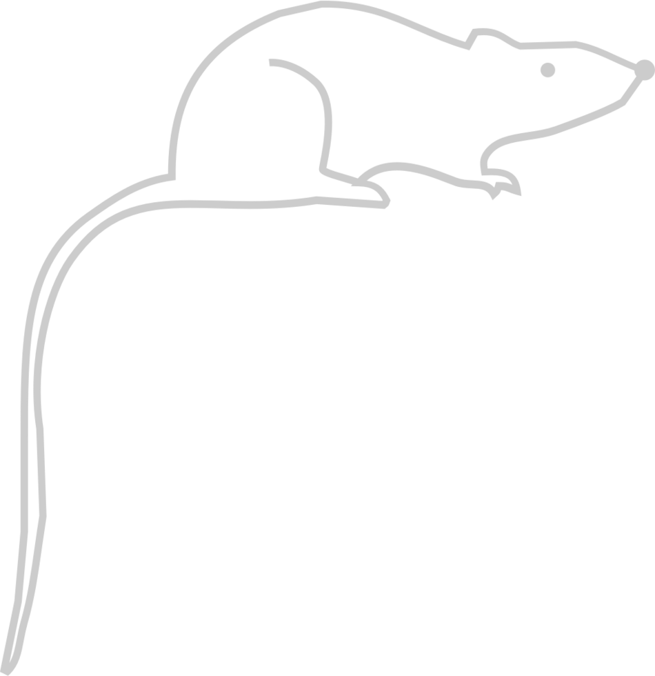 Mouse animal outline vector