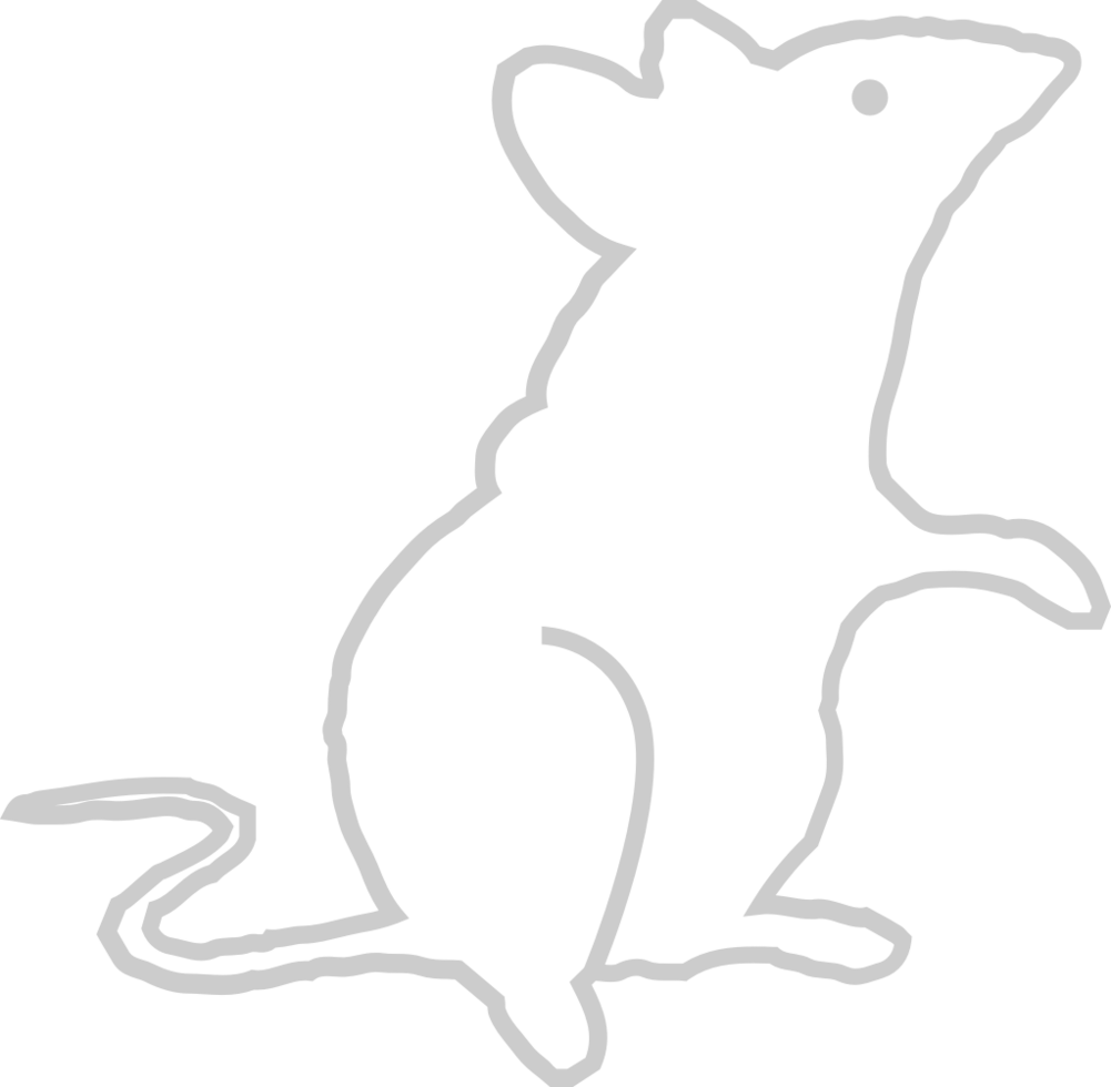 Mouse animal outline vector