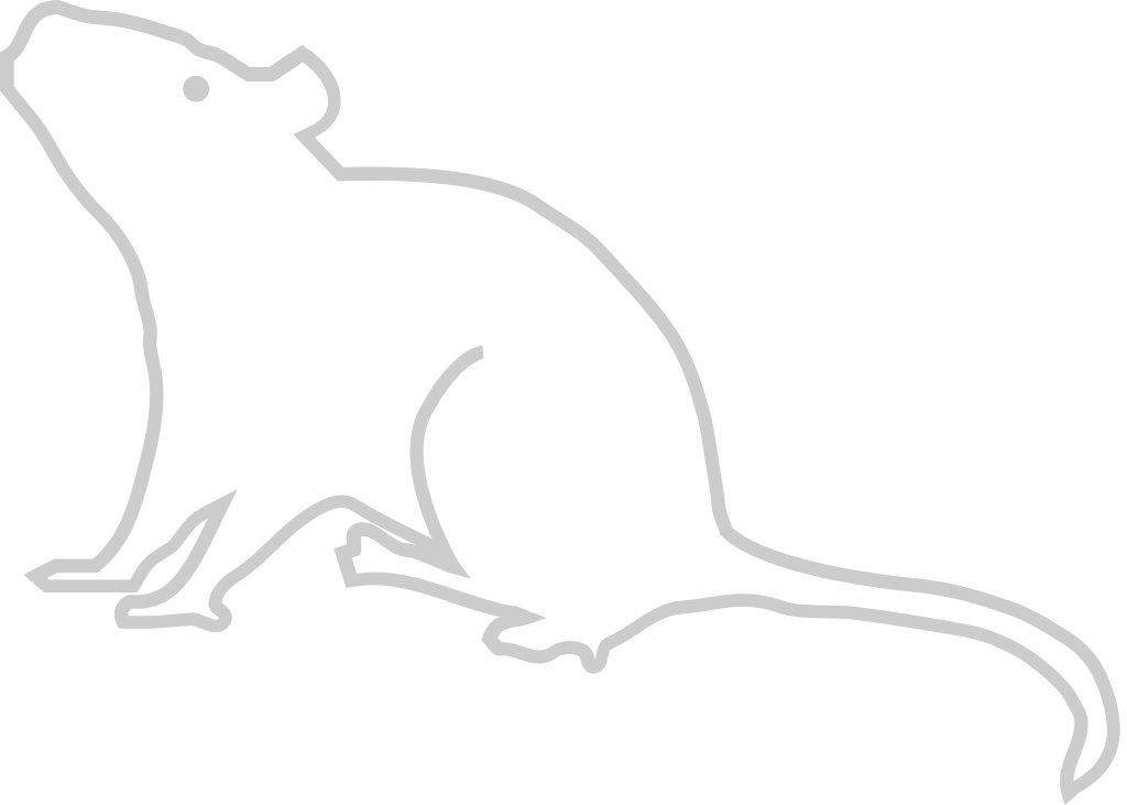 Mouse animal outline vector