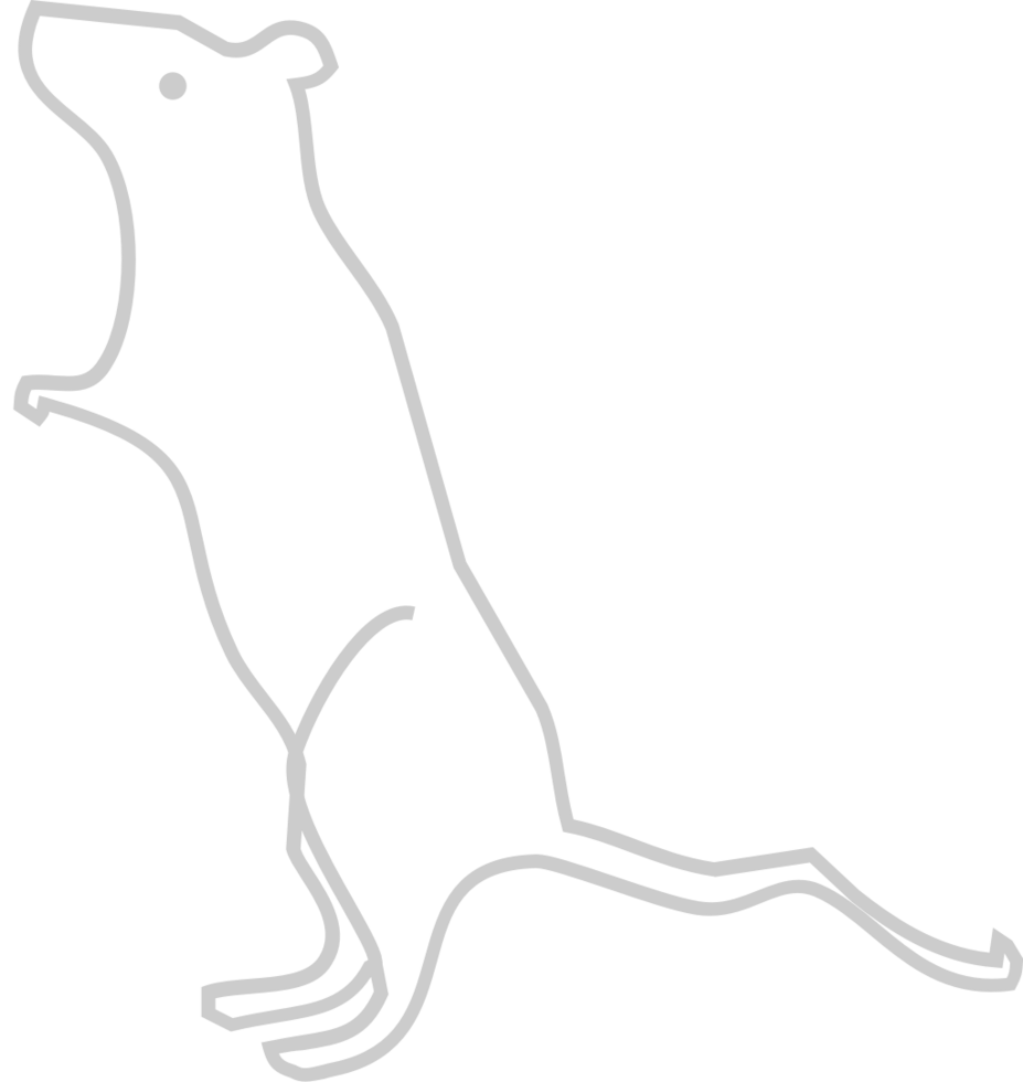 Mouse animal outline vector