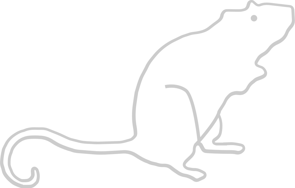 Mouse animal outline vector