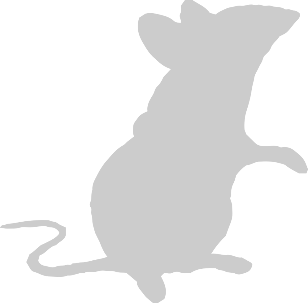 Mouse animal vector