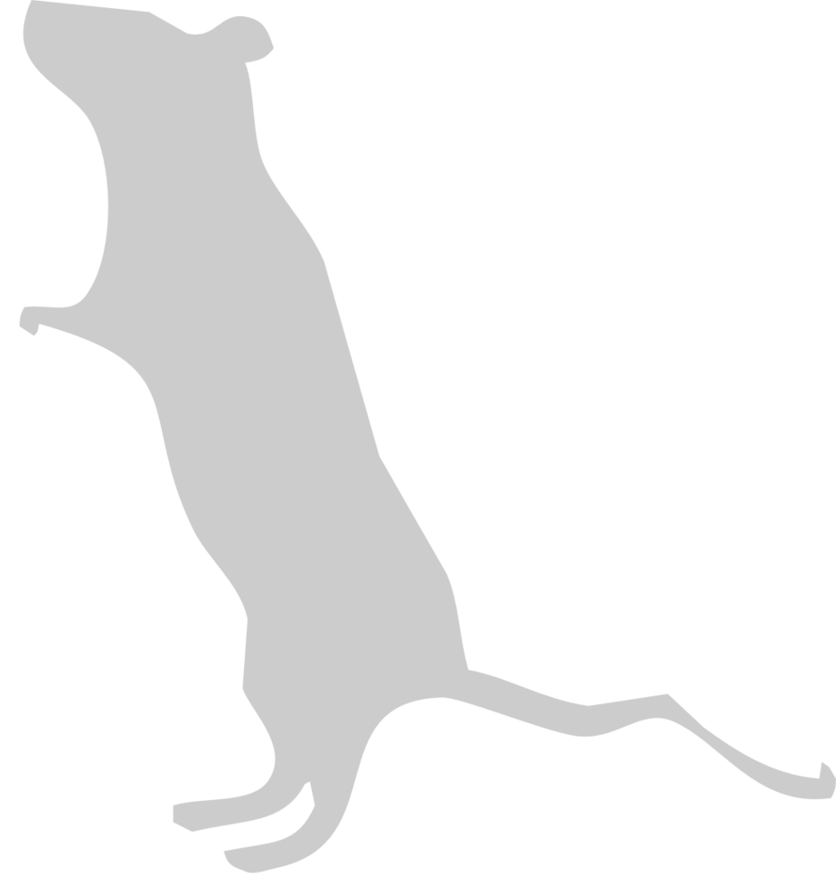 Mouse animal vector