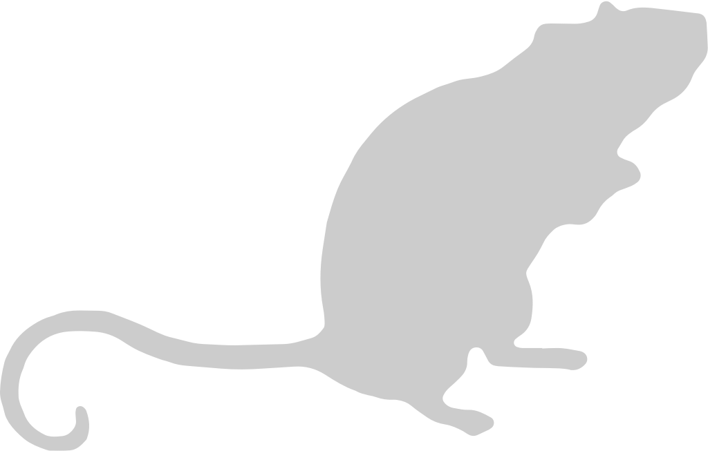 Mouse animal vector