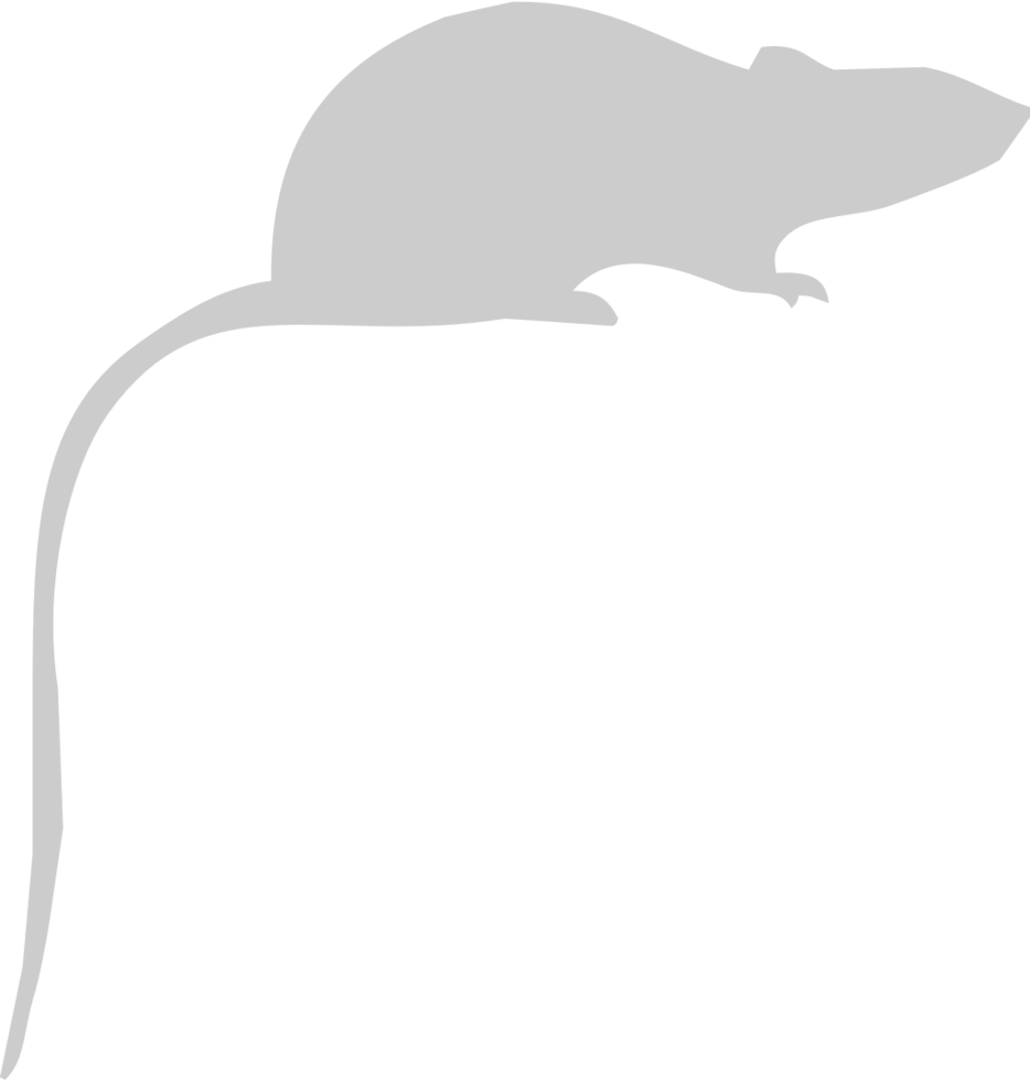 Mouse animal vector